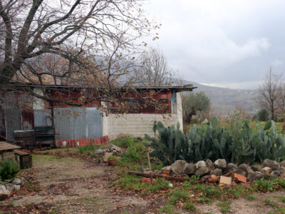 FRASSO TELESINO (BN) - 180 TERRENO AGRICOLO CON DEPOSITO
