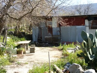 FRASSO TELESINO (BN) - 180 TERRENO AGRICOLO CON DEPOSITO