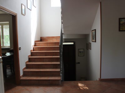 AMOROSI (BN) - 812 VILLA CON TERRENO