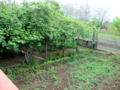 DUGENTA (BN) - 186 CASA INDIPENDENTE CON GIARDINO