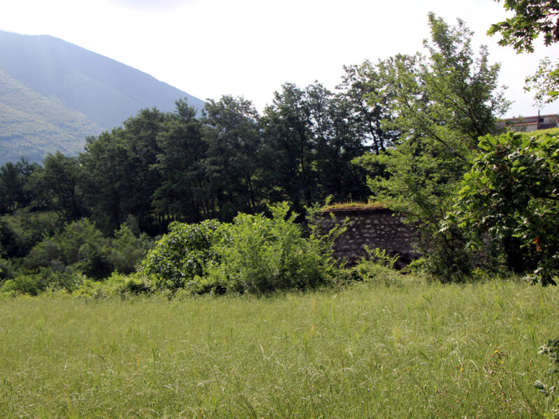 FAICCHIO (BN) - 163 TERRENO AGRICOLO CON RUDERE DI PERTINENZA