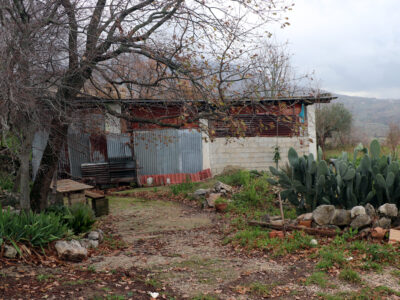 FRASSO TELESINO (BN) - 180 TERRENO AGRICOLO CON DEPOSITO
