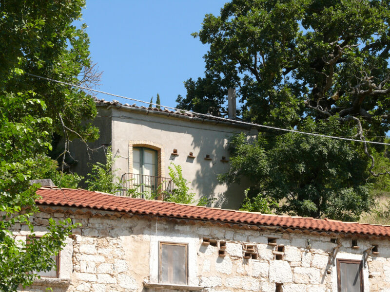 PONTELANDOLFO (BN) - 128 CASALE COLONICO CON TERRENO