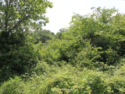 SASSINORO (BN) - 285 PALAZZOTTO IN ZONA CENTRALE