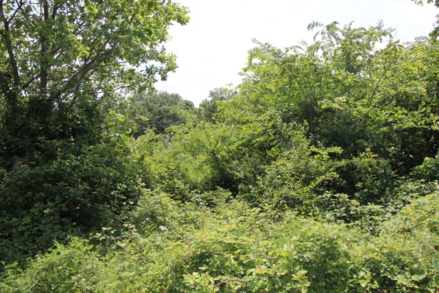 SASSINORO (BN) - 285 PALAZZOTTO IN ZONA CENTRALE