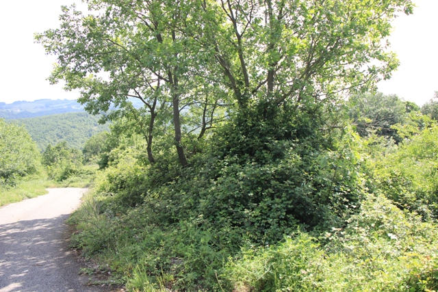 SASSINORO (BN) - 285 PALAZZOTTO IN ZONA CENTRALE