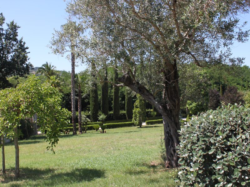 RUVIANO (CE) - 803 VILLA IMMERSA NEL VERDE