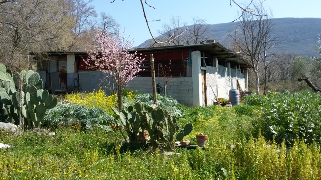 FRASSO TELESINO (BN) - 180 TERRENO AGRICOLO CON DEPOSITO