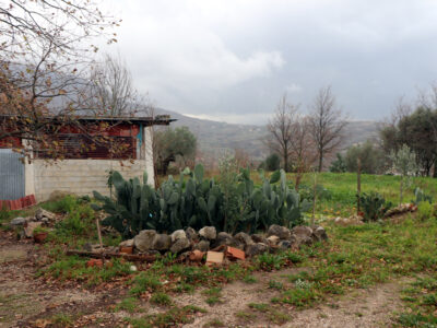 FRASSO TELESINO (BN) - 180 TERRENO AGRICOLO CON DEPOSITO
