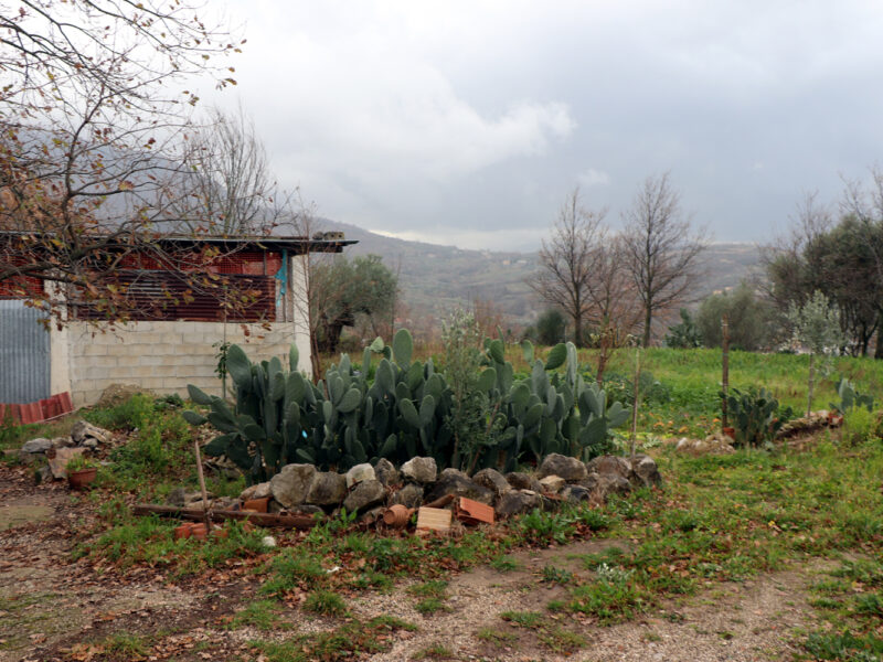 FRASSO TELESINO (BN) - 180 TERRENO AGRICOLO CON DEPOSITO