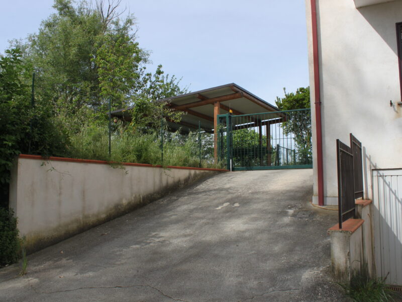 AMOROSI (BN) - 812 VILLA CON TERRENO