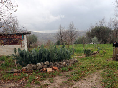 FRASSO TELESINO (BN) - 180 TERRENO AGRICOLO CON DEPOSITO