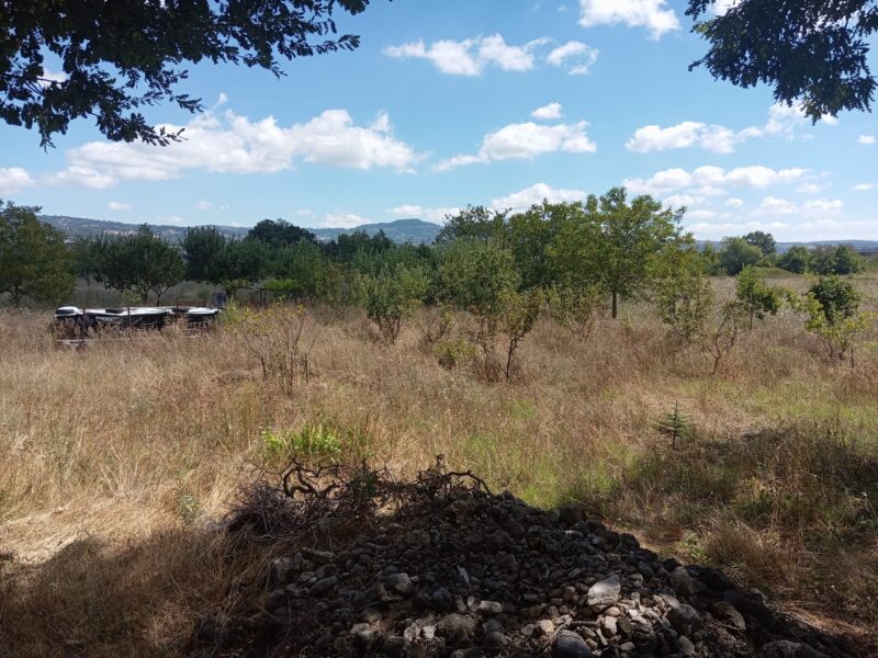 SEPINO (CB) - 167 CASALE IN PIETRA VIVA CON TERRENO