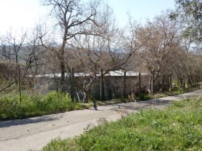 FRASSO TELESINO (BN) - 180 TERRENO AGRICOLO CON DEPOSITO