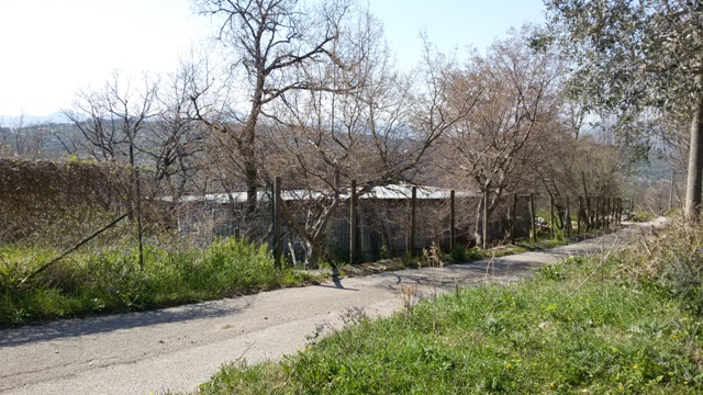 FRASSO TELESINO (BN) - 180 TERRENO AGRICOLO CON DEPOSITO