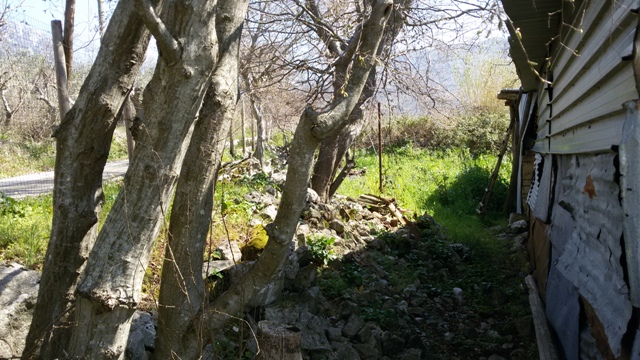 FRASSO TELESINO (BN) - 180 TERRENO AGRICOLO CON DEPOSITO