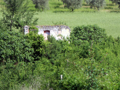 FAICCHIO (BN) - 163 TERRENO AGRICOLO CON RUDERE DI PERTINENZA