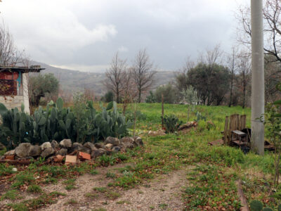 FRASSO TELESINO (BN) - 180 TERRENO AGRICOLO CON DEPOSITO