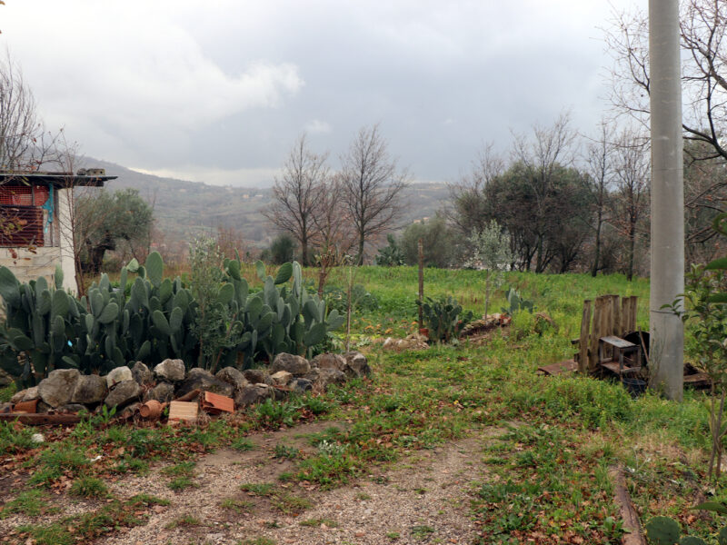 FRASSO TELESINO (BN) - 180 TERRENO AGRICOLO CON DEPOSITO