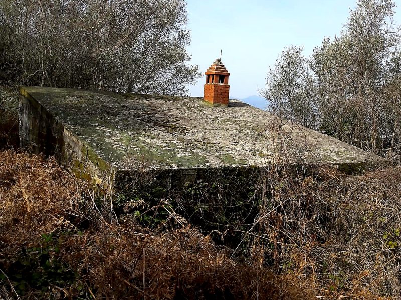 SOLOPACA (BN) - 529 TERRENO CON RUDERE