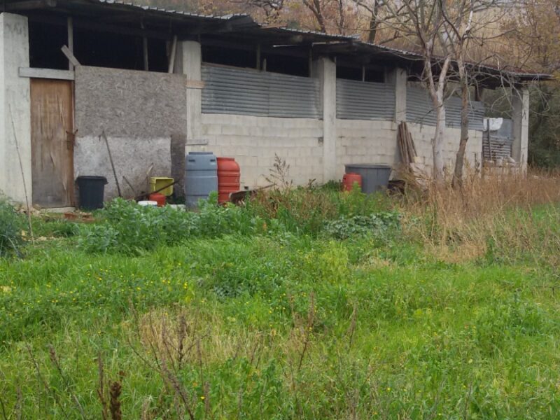 FRASSO TELESINO (BN) - 180 TERRENO AGRICOLO CON DEPOSITO