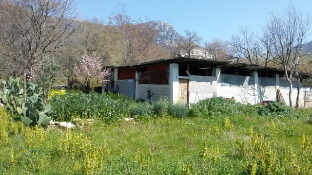 FRASSO TELESINO (BN) - 180 TERRENO AGRICOLO CON DEPOSITO