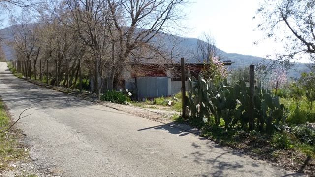 FRASSO TELESINO (BN) - 180 TERRENO AGRICOLO CON DEPOSITO