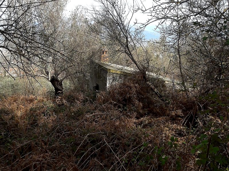 SOLOPACA (BN) - 529 TERRENO CON RUDERE