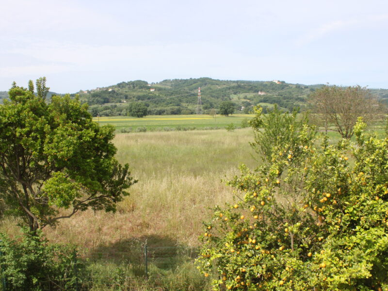 AMOROSI (BN) - 812 VILLA CON TERRENO