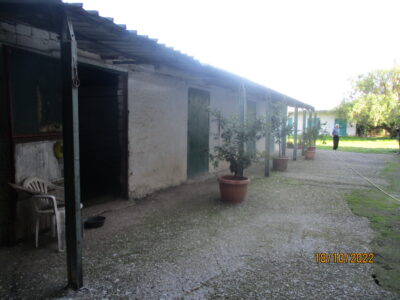 DUGENTA (BN) - 437 ANTICO CASALE DEL '1800