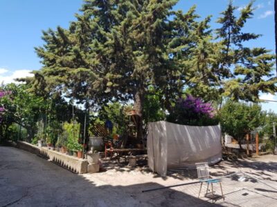 CAIAZZO (CE) - 204 PALAZZOTTO CON PICCOLO GIARDINO