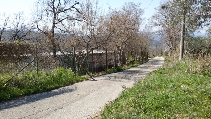 FRASSO TELESINO (BN) - 180 TERRENO AGRICOLO CON DEPOSITO