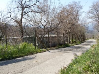 FRASSO TELESINO (BN) - 180 TERRENO AGRICOLO CON DEPOSITO