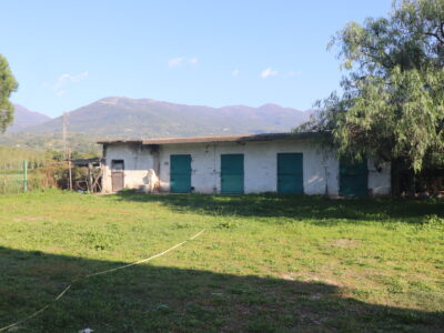 DUGENTA (BN) - 437 ANTICO CASALE DEL '1800
