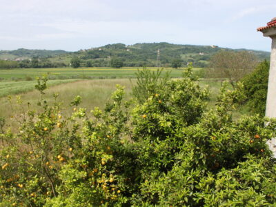 AMOROSI (BN) - 812 VILLA CON TERRENO