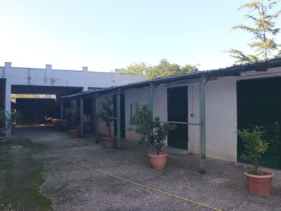 DUGENTA (BN) - 437 ANTICO CASALE DEL '1800