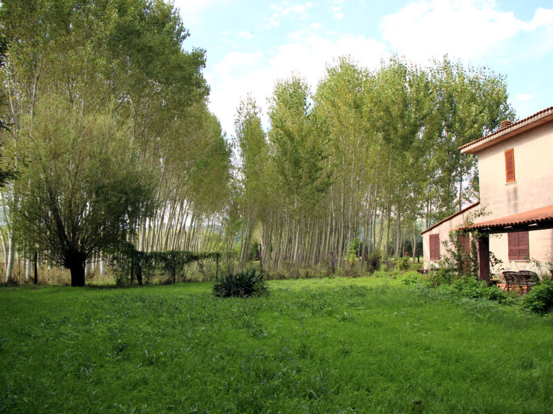 LIMATOLA (BN) - 373 CASALE COLONICA CON TERRENO