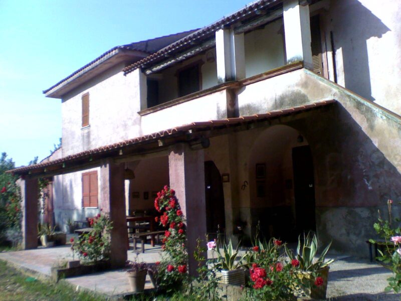 LIMATOLA (BN) - 373 CASALE COLONICA CON TERRENO