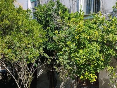 SANT'AGATA DE' GOTI (BN) - 110 CASALE CON PERTINENZE E TERRENO