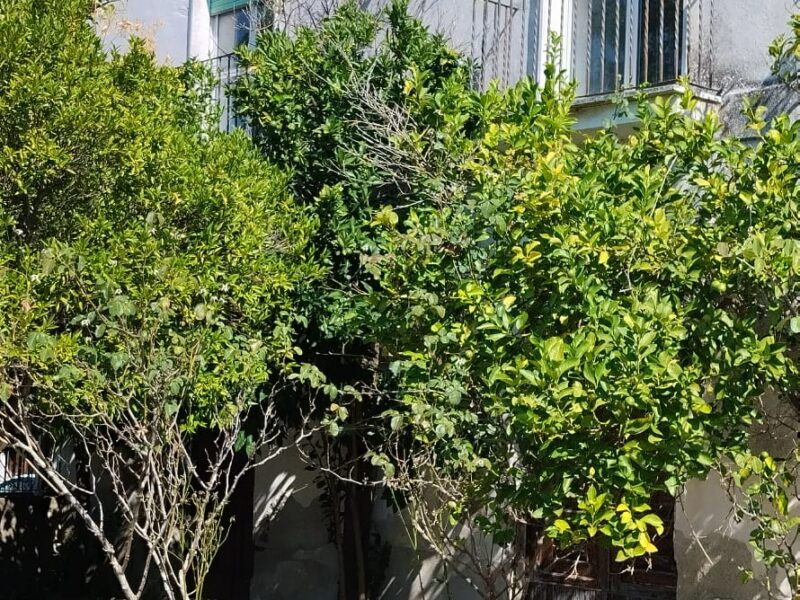 SANT'AGATA DE' GOTI (BN) - 110 CASALE CON PERTINENZE E TERRENO