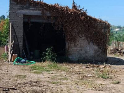 SANT'AGATA DE' GOTI (BN) - 110 CASALE CON PERTINENZE E TERRENO