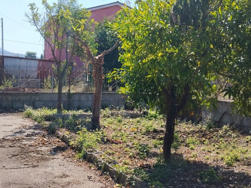 SANT'AGATA DE' GOTI (BN) - 110 CASALE CON PERTINENZE E TERRENO