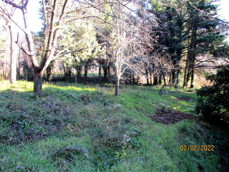 DURAZZANO (BN) - 523 VILLA CON GIARDINO