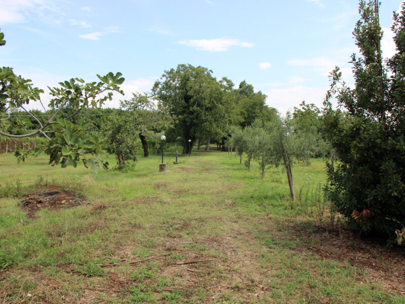 AMOROSI (BN) - 409 VILLA CON PISCINA