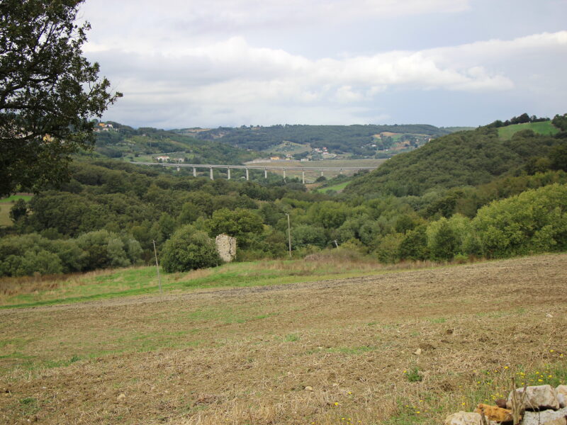 CAMPOLATTARO (BN) - 434 AZIENDA AGRICOLA