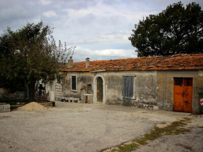 CAMPOLATTARO (BN) - 434 AZIENDA AGRICOLA