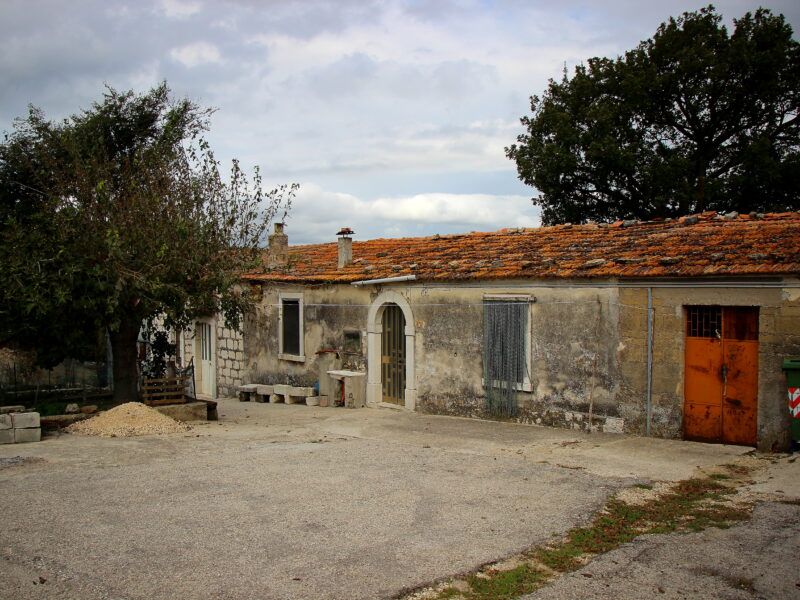 CAMPOLATTARO (BN) - 434 AZIENDA AGRICOLA