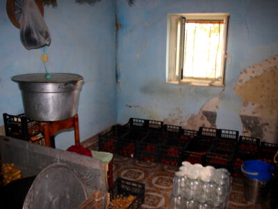 CAMPOLATTARO (BN) - 434 AZIENDA AGRICOLA