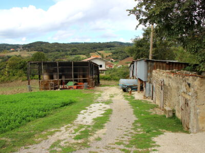 CAMPOLATTARO (BN) - 434 AZIENDA AGRICOLA