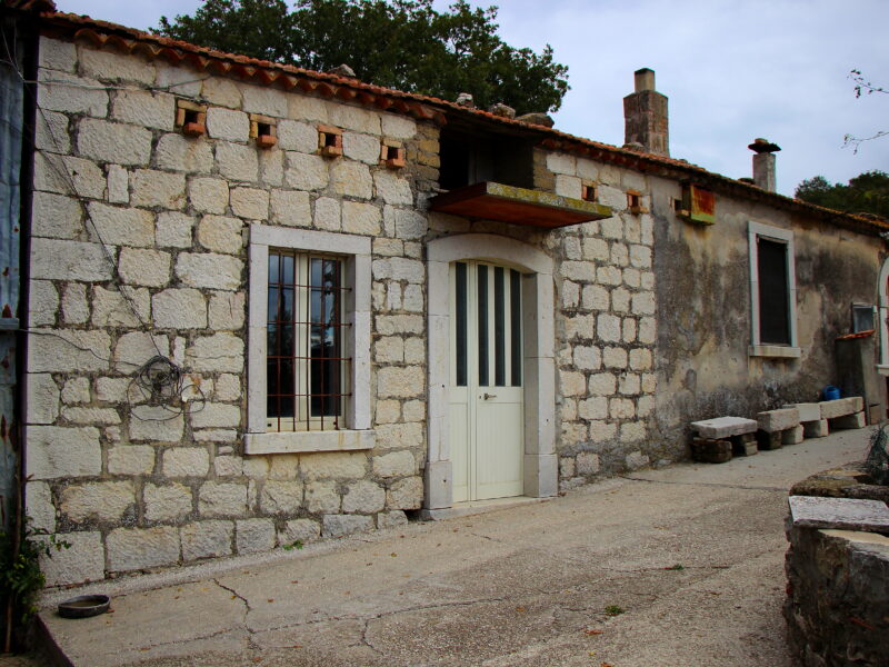 CAMPOLATTARO (BN) - 434 AZIENDA AGRICOLA